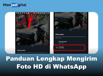 Panduan Lengkap Mengirim Foto HD di WhatsApp